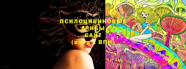 мяу мяу мука Аркадак