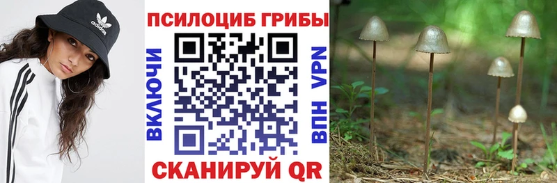 купить   Усинск  Галлюциногенные грибы MAGIC MUSHROOMS 